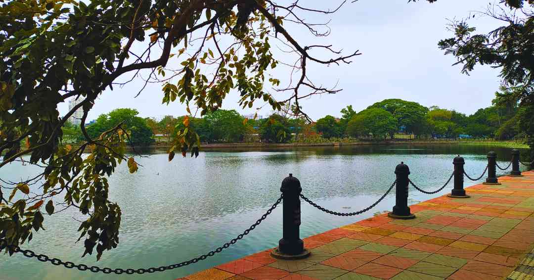 Calm waters and bridge of Rabindra Sarobar Lake in Kolkata at dusk.