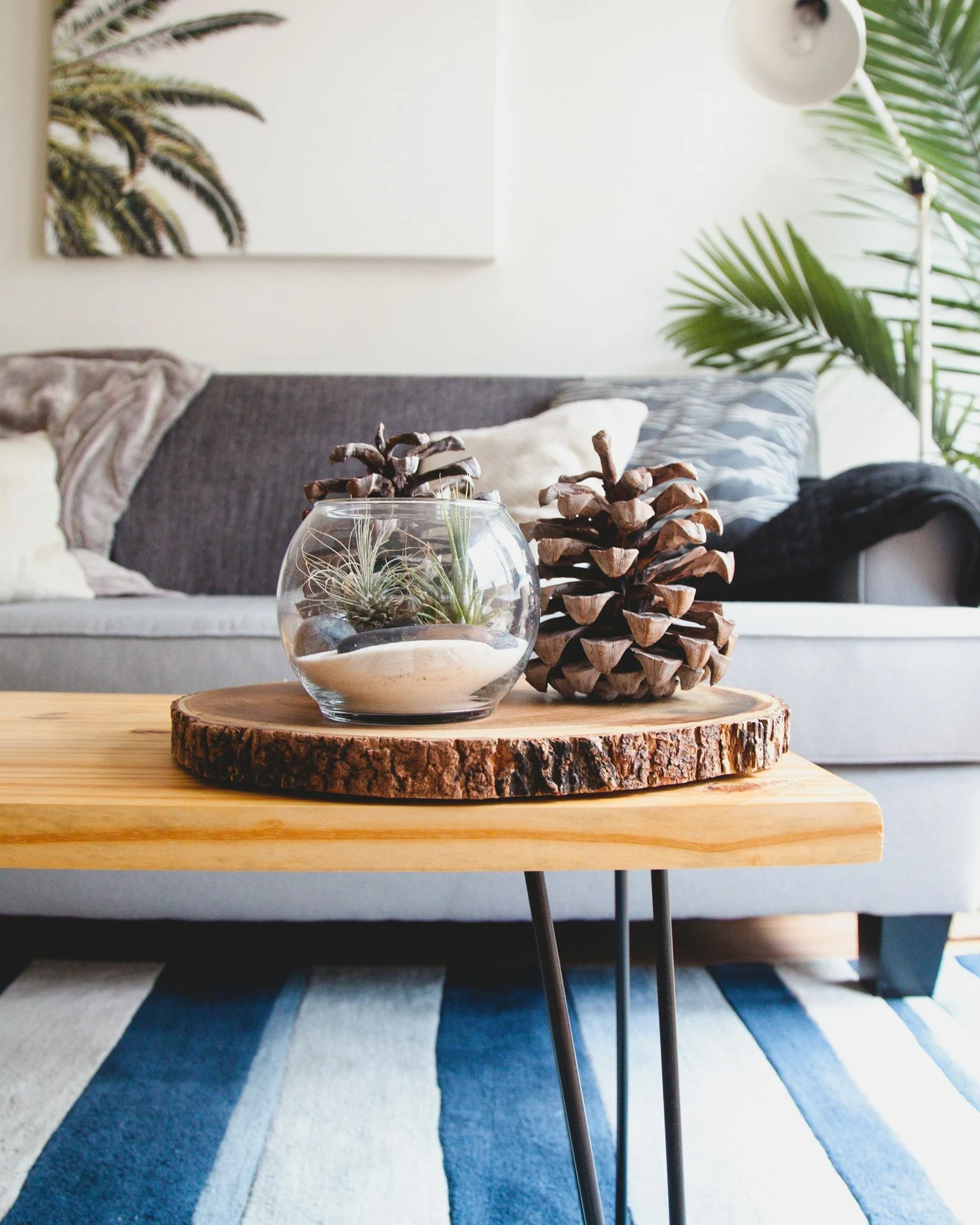 Minimalist coffee table with clear fishbowl beside pine cones in a modern living space.