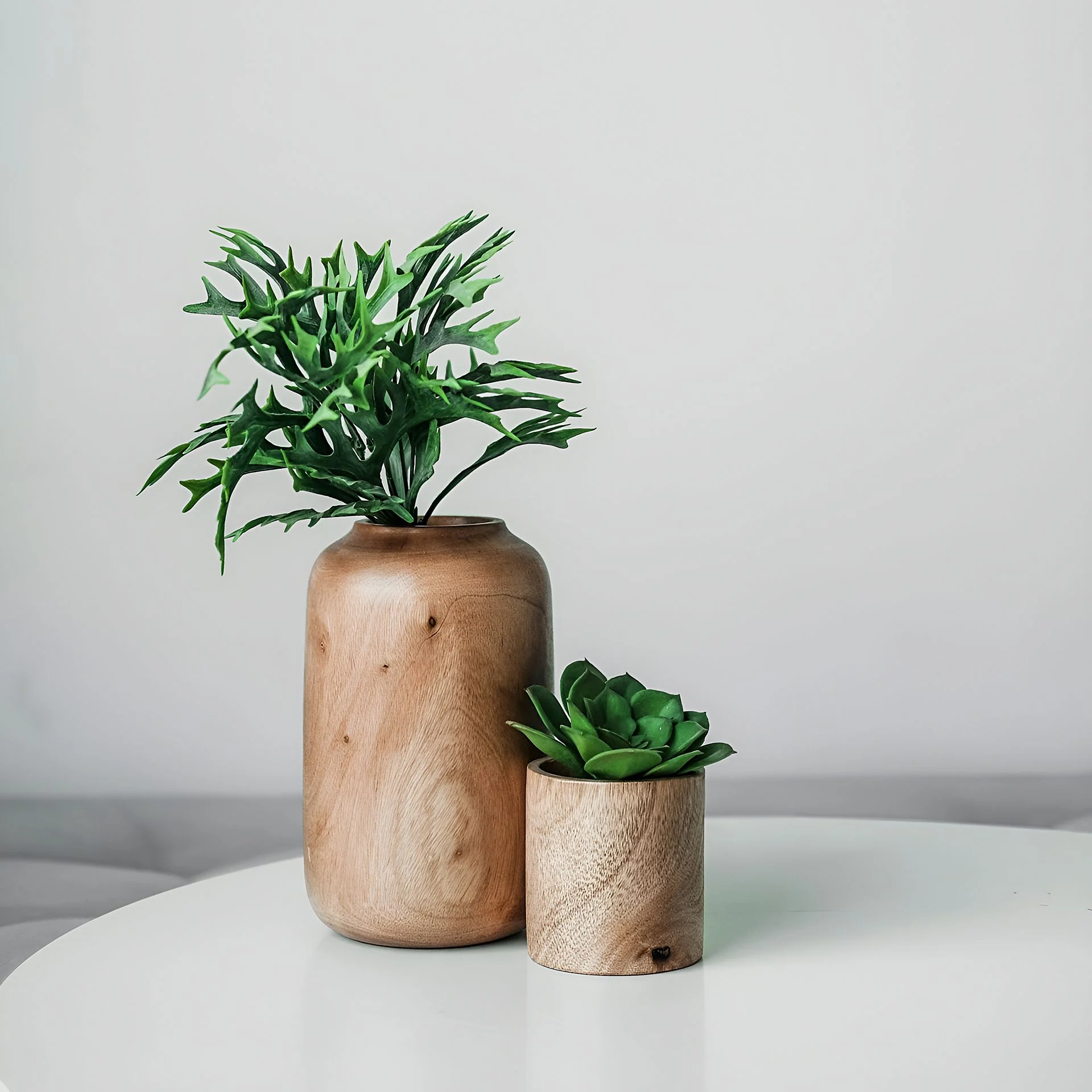 Two green plants in two brown wooden pots on a dining table, photographed by Ranjan Bhattacharya
