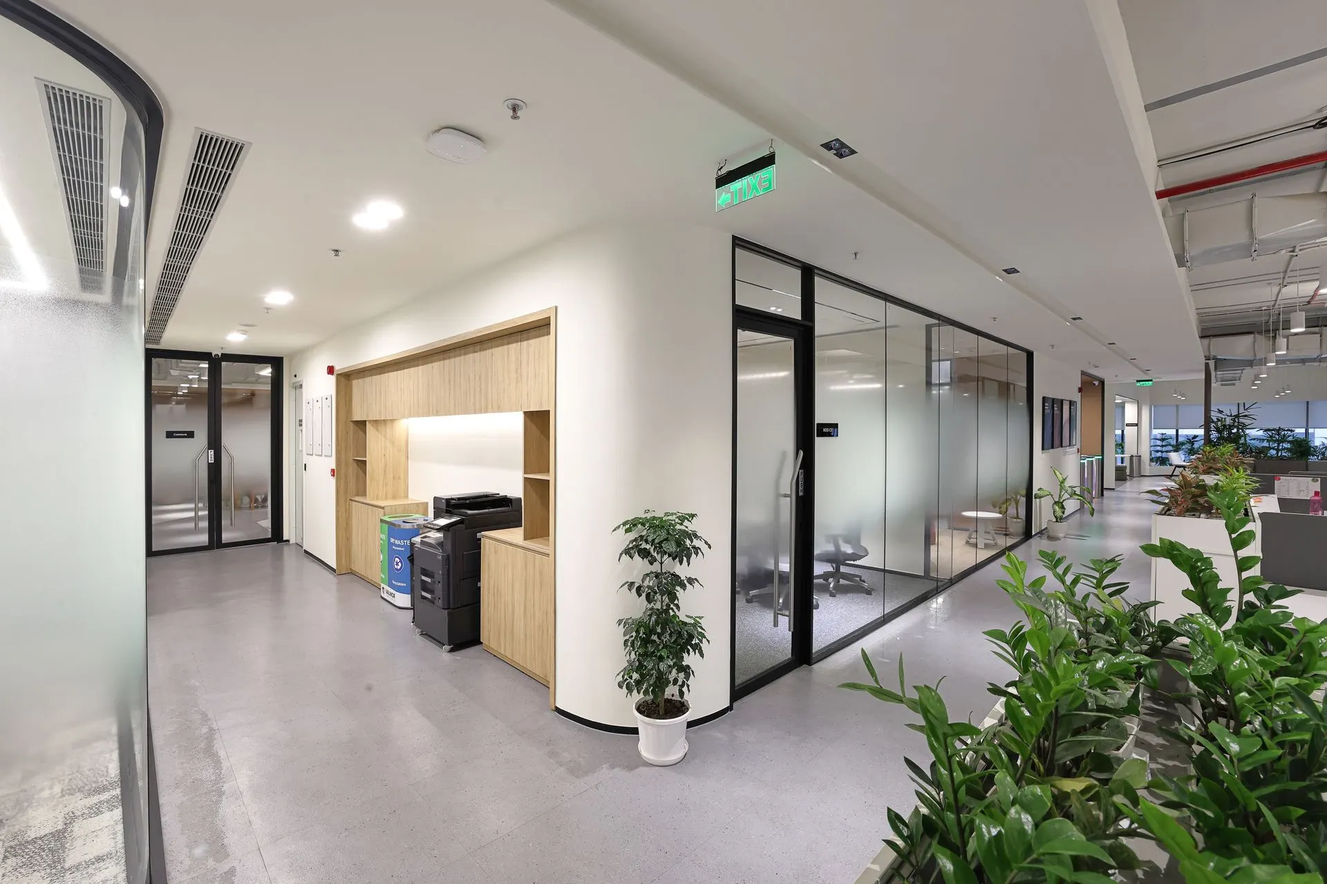 Corporate office corridor interior photography featuring glass meeting rooms, modern workspace circulation, indoor plants and contemporary commercial office design.